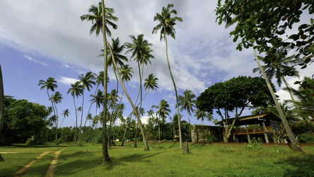 Similar image 22483190