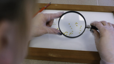 Similar image 22483205