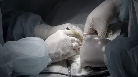 Similar image 22483220