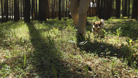 Similar image 22483340