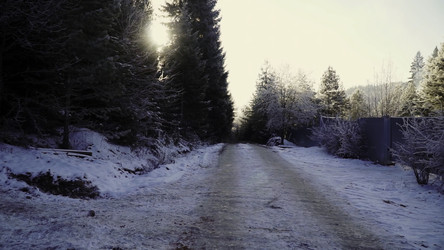 Similar image 22481007