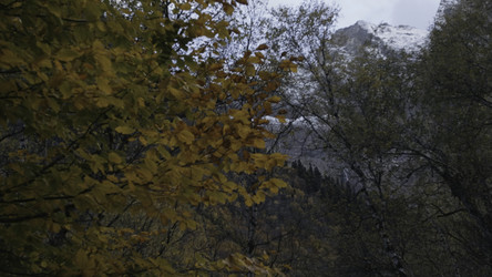 Similar image 22481205