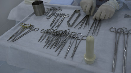 Similar image 22481248