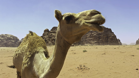 Similar image 22481475