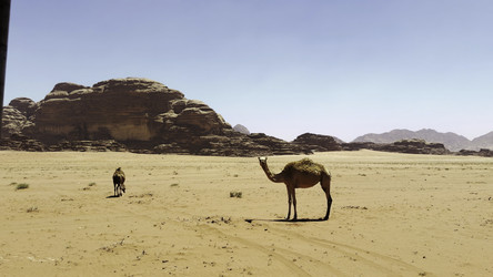 Similar image 22481535