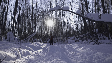 Similar image 22481670