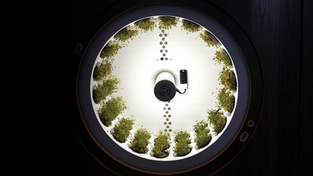 Similar image 22481861