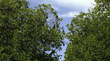 Similar image 22481894