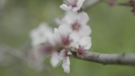 Similar image 22481984