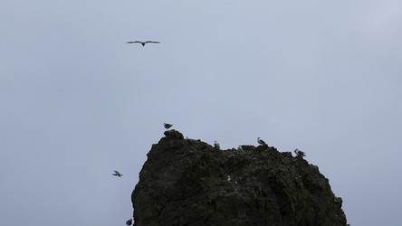 Similar image 22482283