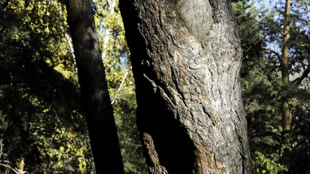 Similar image 22482417