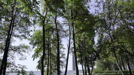 Similar image 22482622