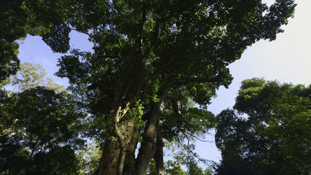 Similar image 22482906