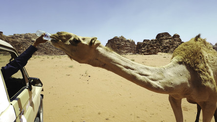 Similar image 22482922