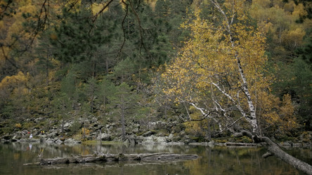 Similar image 22483131