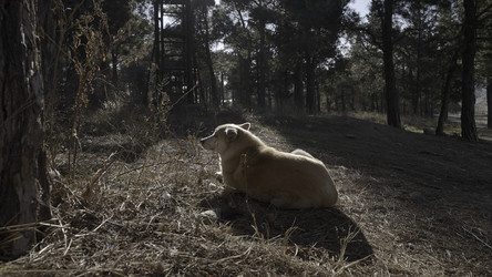 Similar image 22483132