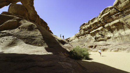 Similar image 22483251