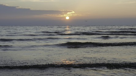 Similar image 22481520