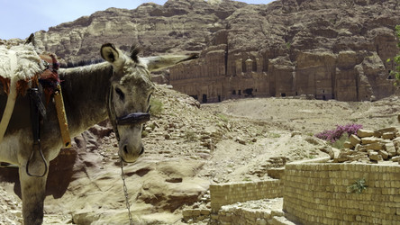 Similar image 22481794