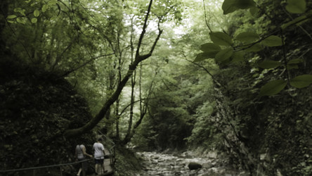 Similar image 22481837