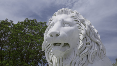 Similar image 22481985