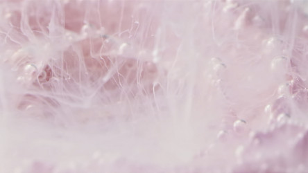 Similar image 22482600