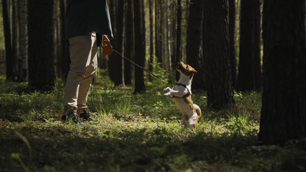 Similar image 22482711