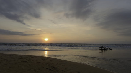 Similar image 22482743