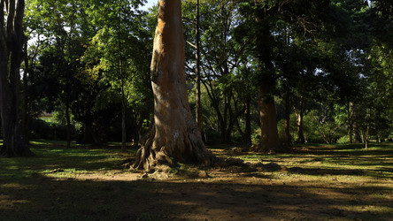 Similar image 22482757