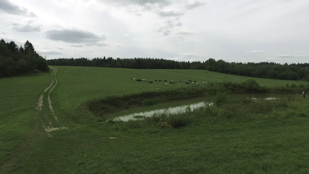 Similar image 22482881