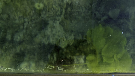 Similar image 22482982