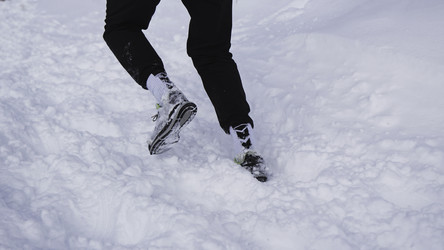 Similar image 22483235