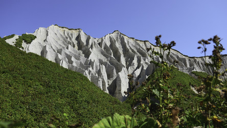 Similar image 22480981