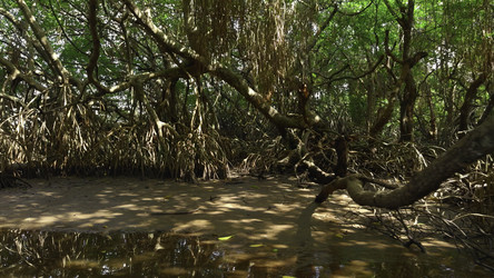 Similar image 22481250