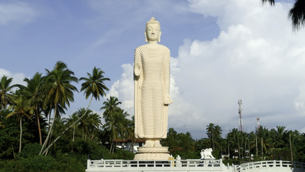 Similar image 22481446