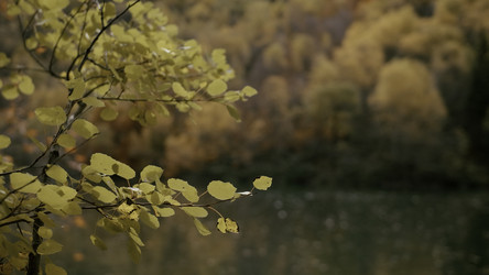 Similar image 22481731