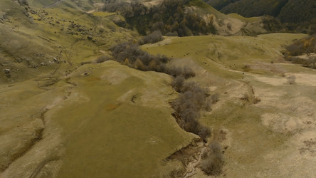 Similar image 22482269