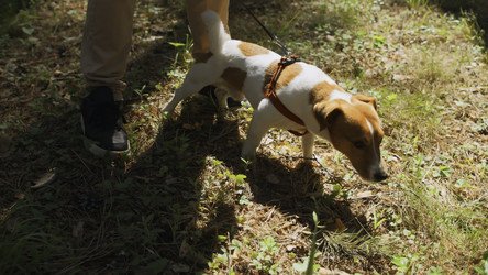 Similar image 22482465