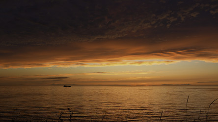 Similar image 22482816