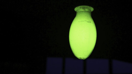 Similar image 22482848