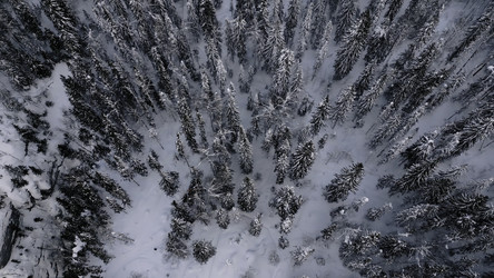 Similar image 22483001