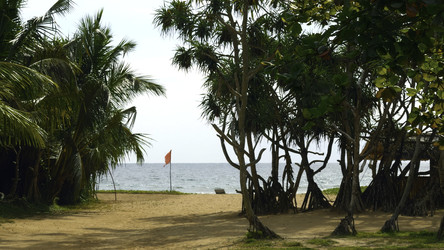 Similar image 22483031