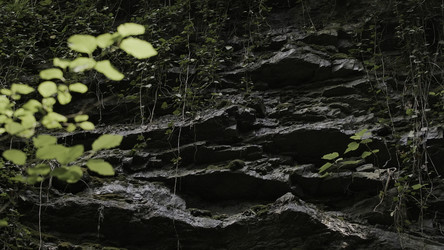 Similar image 22481103