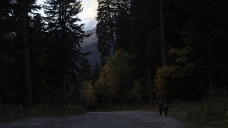 Similar image 22481914