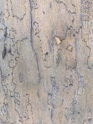 Similar image 22482225