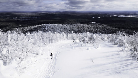 Similar image 22482495