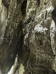 Similar image 22482686