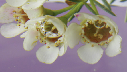 Similar image 22482716