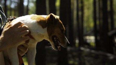 Similar image 22482746