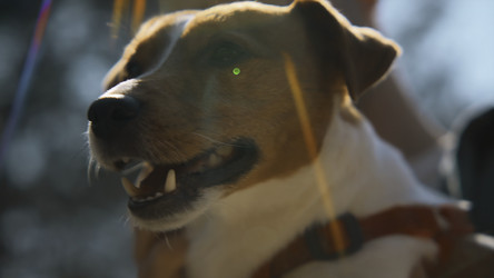 Similar image 22482866